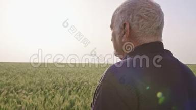 一个<strong>老农</strong>夫在绿色的麦田里散步
